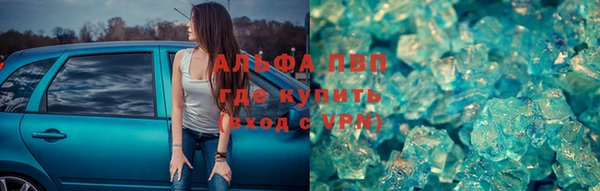 молекула духа Богородицк