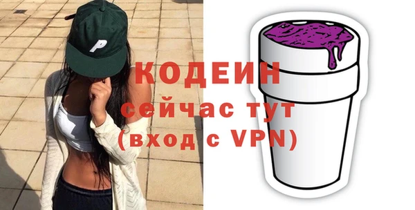 молекула духа Богородицк
