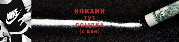 гашик Богданович
