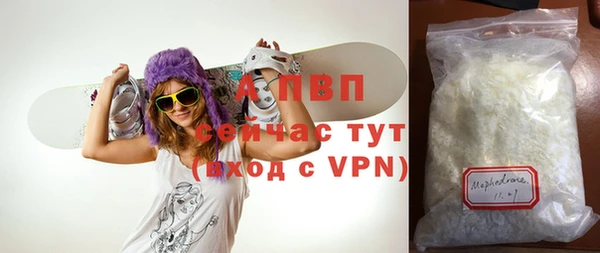 гашик Богданович