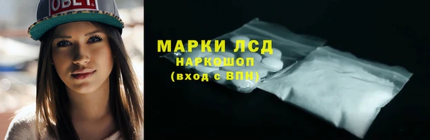 молекула духа Богородицк