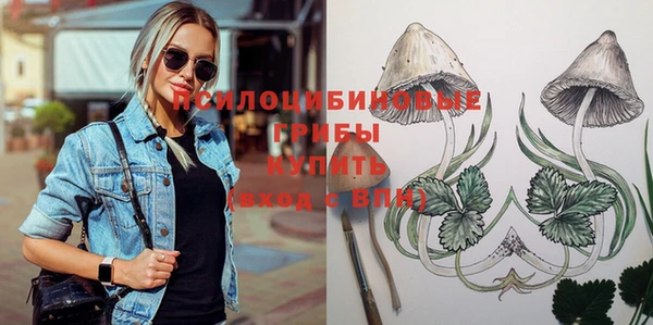 гашик Богданович
