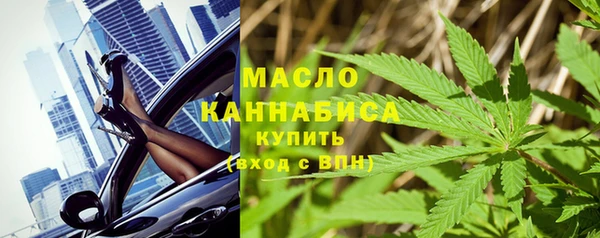 молекула духа Богородицк