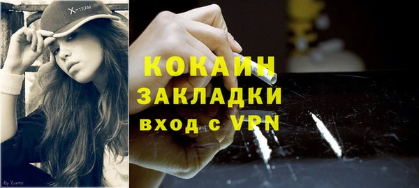 молекула духа Богородицк