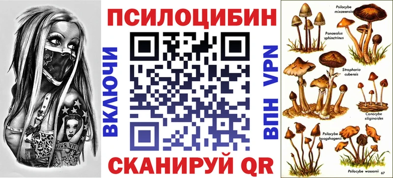 Галлюциногенные грибы MAGIC MUSHROOMS  Купить закладки  Луховицы 