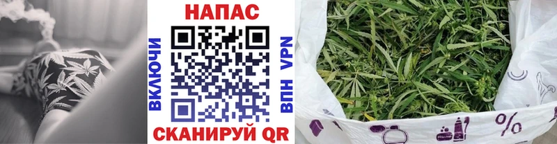 Конопля SATIVA & INDICA Луховицы